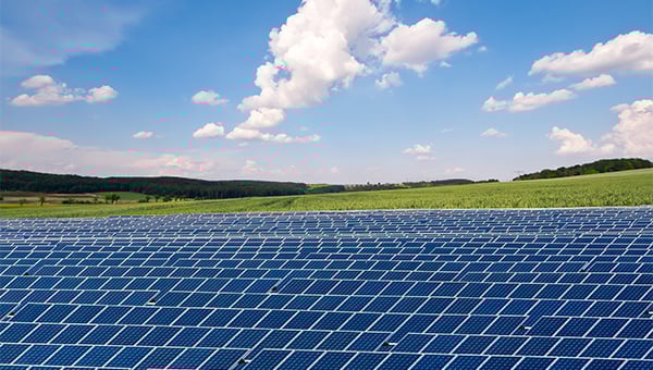 solar panels in an open field