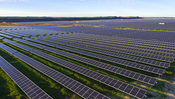 field of solar panels on farmland