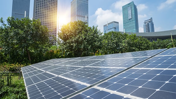 Solar panels in the foreground with trees and tall city buildings in the background under sunlight.