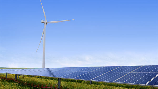 Solar panels in a grassy field with a wind turbine in the background under a clear blue sky.