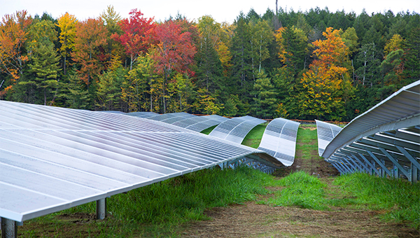 Rows of ground-mounted solar panels on a grassy field with a forest of colorful autumn trees in the background. Rows of ground-mounted solar panels on a grassy field with a forest of colorful autumn trees in the background.